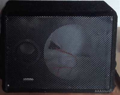 Box subwoofer 25
