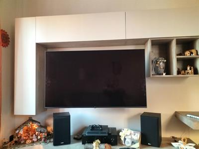 TV LG 55 Pollici Pannello Rotto