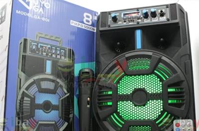 Cassa karaoke 5000wat svendita