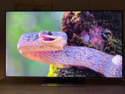 TV SONY 65 65XE9005 in garanzia